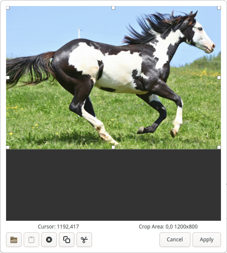 Image Editor